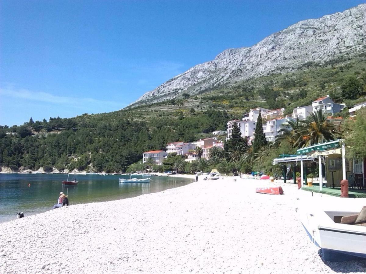 Iva Brstilo Omis