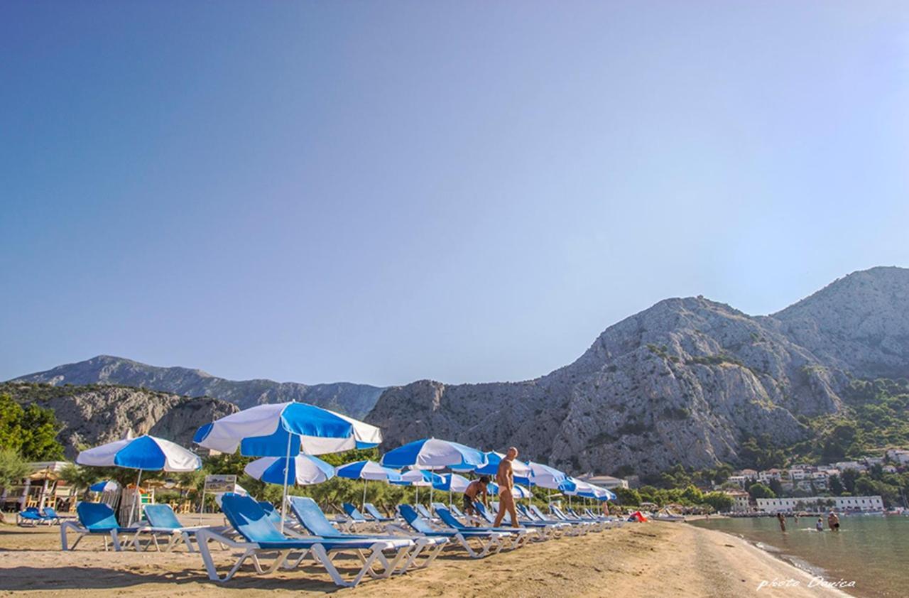 Iva Brstilo Omis